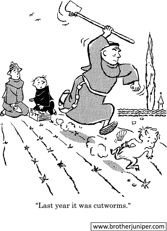 Post image for Cartoon