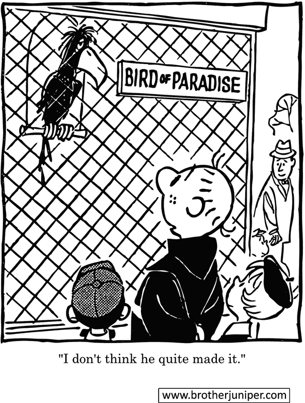 Post image for Cartoon